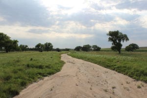 Photo caption: The Arikaree River in eastern Colorado is an example of an intermittent waterway, one that dries or stops flowing periodically. UL Lafayette hydrologist Dr. Katie H. Costigan is on a multi-university team of researchers who secured a National Science Foundation grant to examine how drying waterways affect the creatures that call them home. (Photo courtesy of Dr. Katie Costigan)