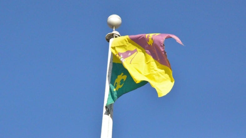Lafayette kicks off Mardi Gras season with flag raising ceremony