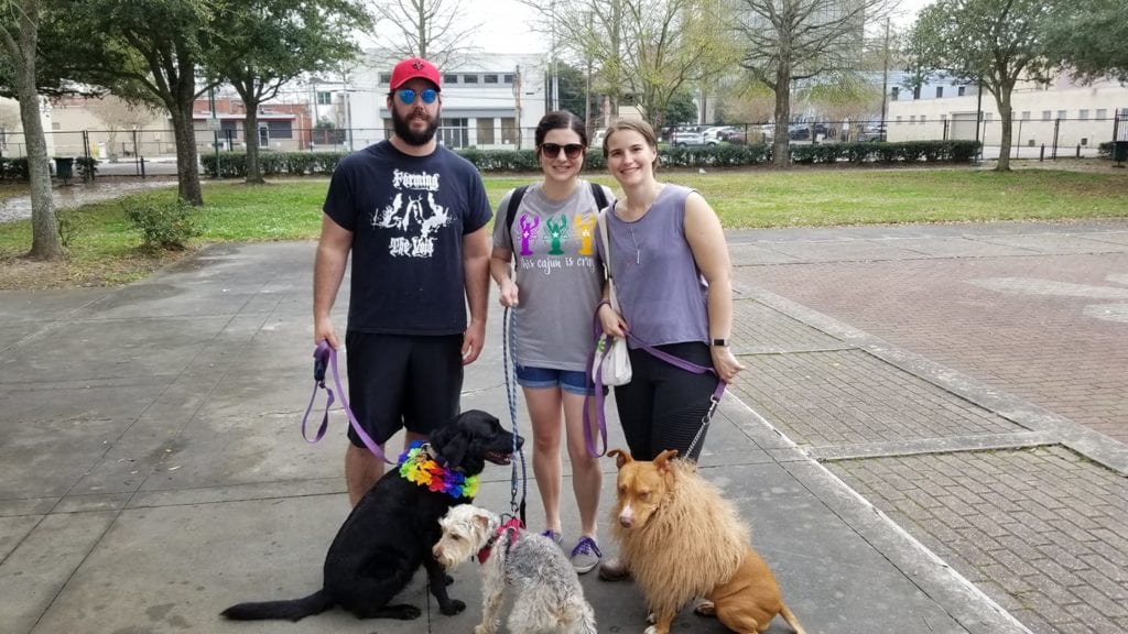 Lafayette's dog parade: Krewe Des Chien