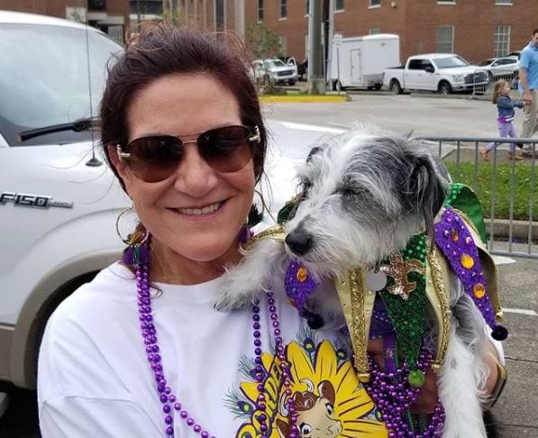 Krewe Des Chien