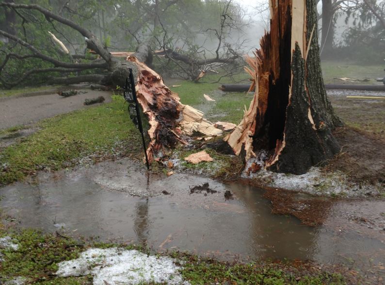 Trees down on Old Spanish Trail (Hwy. 182) in New Iberia (Photo courtesy: Mike Lewis)