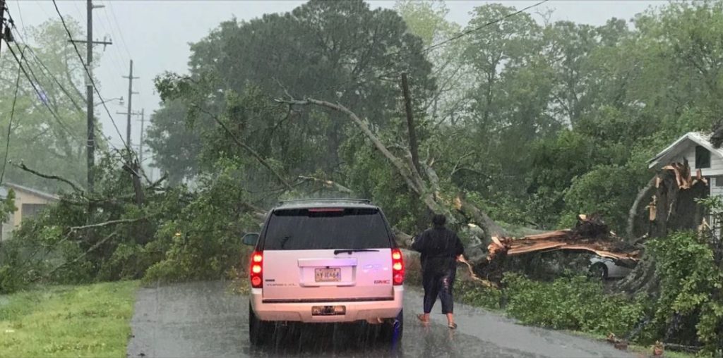 Tree down on W. Harrop St. in Rayne April 18, 2019. (Photo Courtesy: Viewer submitted)